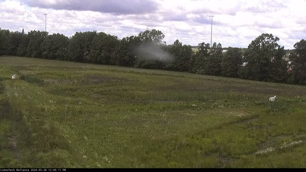 Cell 2_24-05-28_12-40-12-39