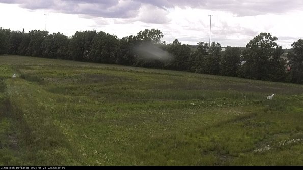 Cell 2_24-05-28_14-20-40-38