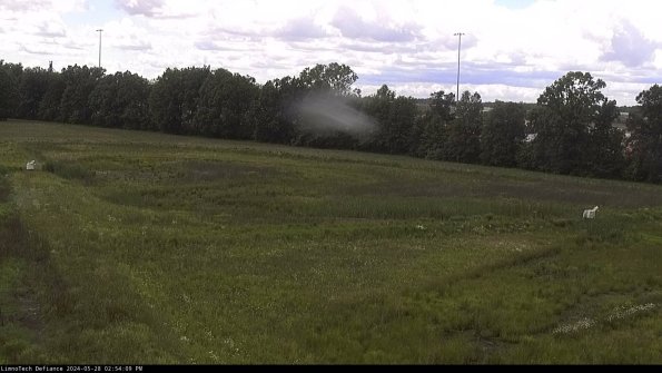 Cell 2_24-05-28_14-54-10-33