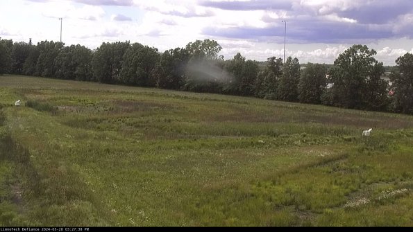 Cell 2_24-05-28_15-27-39-35