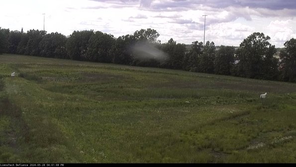 Cell 2_24-05-28_16-01-09-37