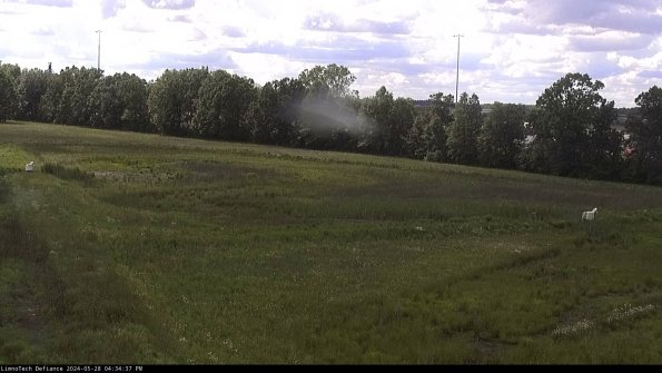 Cell 2_24-05-28_16-34-38-36