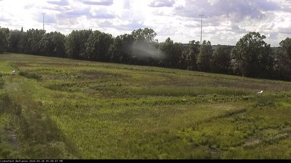 Cell 2_24-05-28_17-08-08-35