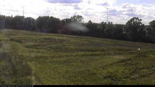 Cell 2_24-05-28_18-15-08-39