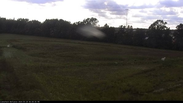 Cell 2_24-05-28_18-48-37-38