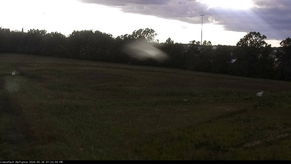 Cell 2_24-05-28_19-22-05-33