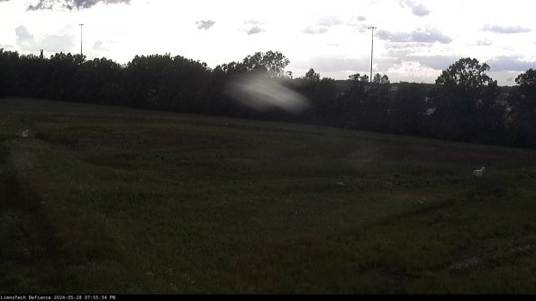 Cell 2_24-05-28_19-55-35-35