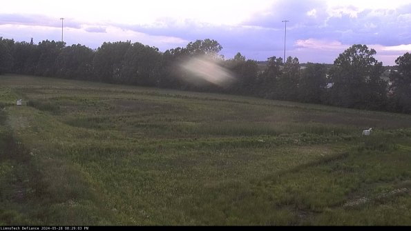 Cell 2_24-05-28_20-29-04-34