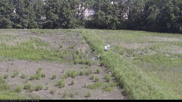 Cell 3 to 4_24-05-28_11-00-27-34