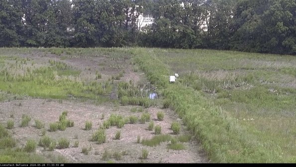 Cell 3 to 4_24-05-28_11-33-56-36