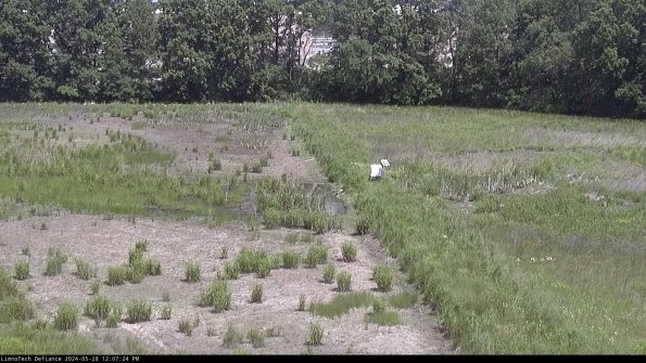 Cell 3 to 4_24-05-28_12-07-25-34