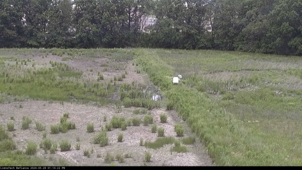 Cell 3 to 4_24-05-28_13-14-23-31