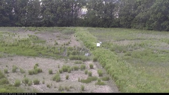 Cell 3 to 4_24-05-28_16-01-51-32