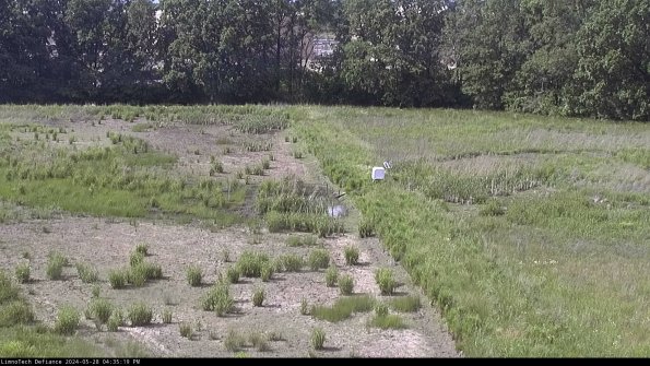 Cell 3 to 4_24-05-28_16-35-20-34