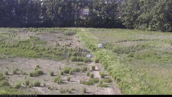 Cell 3 to 4_24-05-28_17-42-20-31