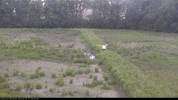 Cell 3 to 4_24-05-28_19-22-47-34