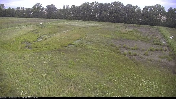 Cell 3_24-05-28_07-05-48-59