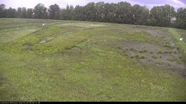 Cell 3_24-05-28_08-46-16-35