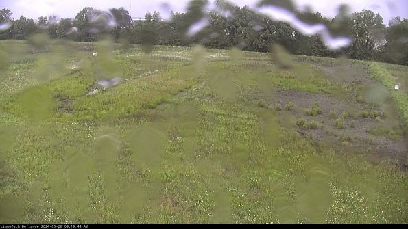 Cell 3_24-05-28_09-19-45-33