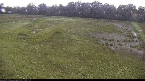 Cell 3_24-05-28_09-53-15-35