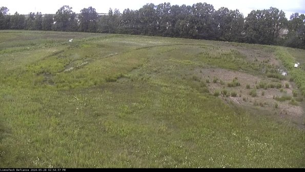 Cell 3_24-05-28_14-54-38-33