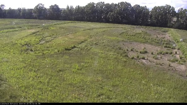 Cell 3_24-05-28_17-42-06-53