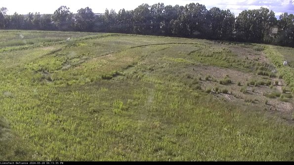 Cell 3_24-05-28_18-15-36-35