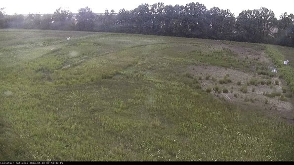 Cell 3_24-05-28_19-56-02-55