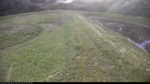 Cell 4 to Basin_24-05-28_07-06-46-35