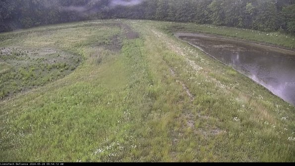 Cell 4 to Basin_24-05-28_09-54-13-34