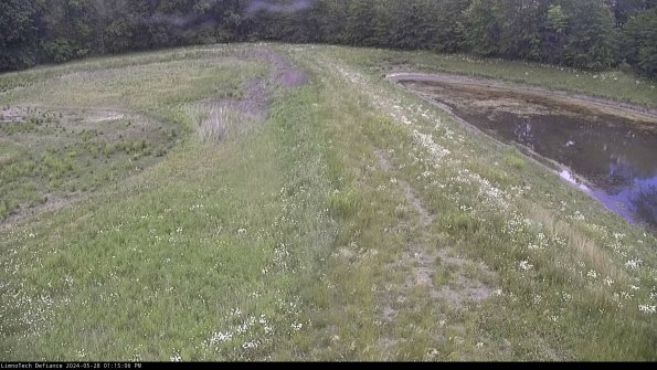 Cell 4 to Basin_24-05-28_13-15-07-33