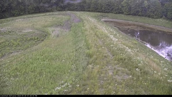 Cell 4 to Basin_24-05-28_13-48-36-35