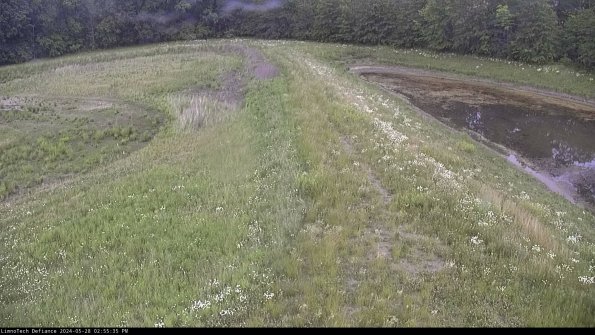 Cell 4 to Basin_24-05-28_14-55-36-35