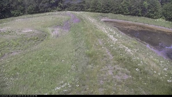 Cell 4 to Basin_24-05-28_15-29-05-37