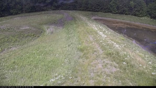 Cell 4 to Basin_24-05-28_16-02-35-33