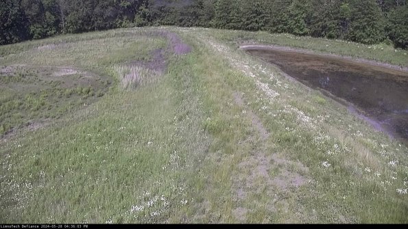 Cell 4 to Basin_24-05-28_16-36-04-35