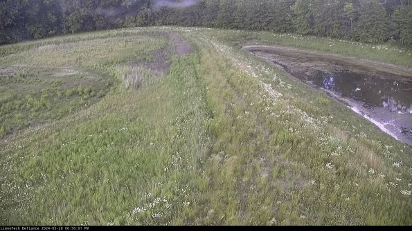 Cell 4 to Basin_24-05-28_18-50-02-36