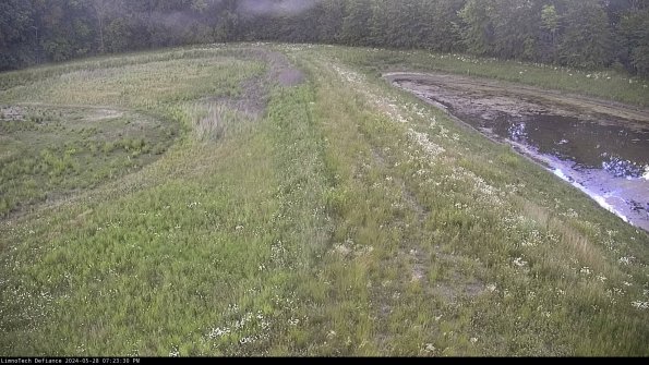 Cell 4 to Basin_24-05-28_19-23-31-35