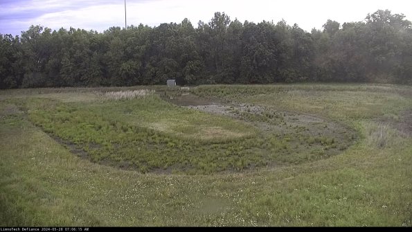 Cell 4_24-05-28_07-06-16-35