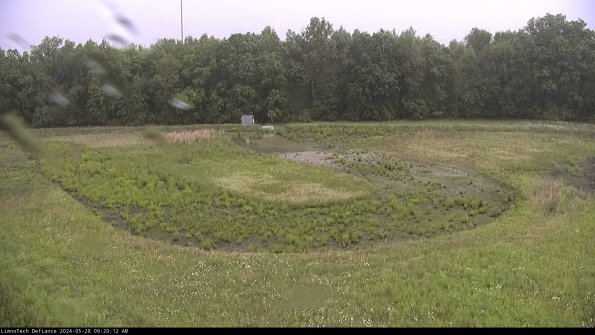 Cell 4_24-05-28_09-20-13-32