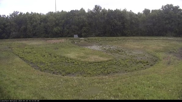 Cell 4_24-05-28_10-17-00-35