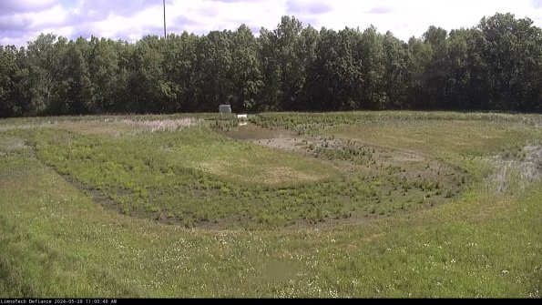 Cell 4_24-05-28_11-00-41-32