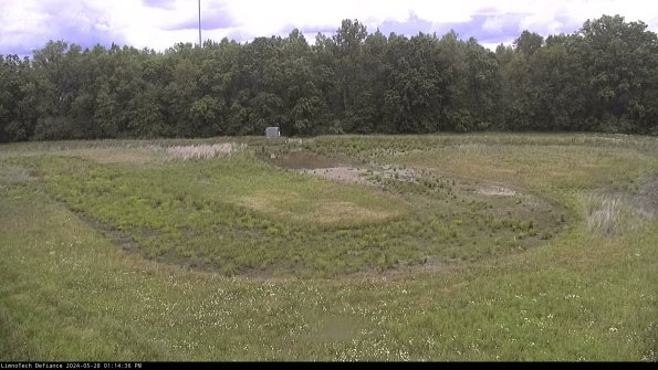 Cell 4_24-05-28_13-14-37-33