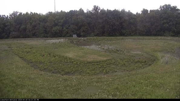 Cell 4_24-05-28_14-21-36-34