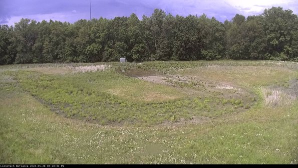 Cell 4_24-05-28_15-28-35-31