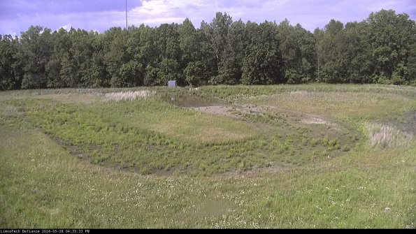 Cell 4_24-05-28_16-35-34-35