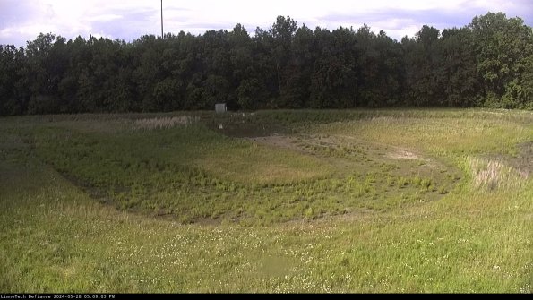 Cell 4_24-05-28_17-09-04-34