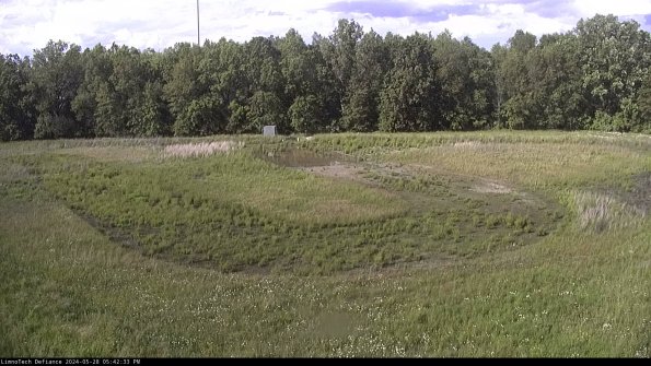 Cell 4_24-05-28_17-42-34-33