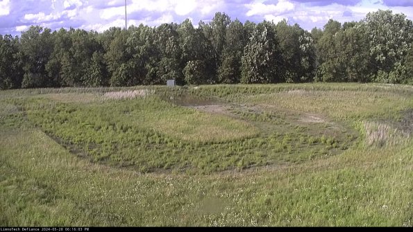 Cell 4_24-05-28_18-16-04-35