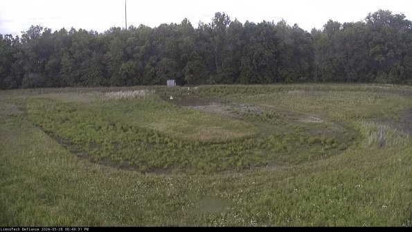 Cell 4_24-05-28_18-49-32-37